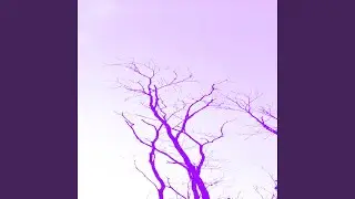 Witch Legacy