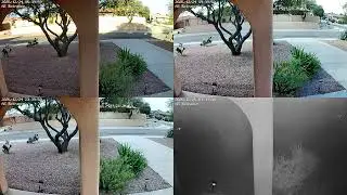 20260205 - AZ - Home Camera log