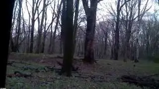 4.20.15 Turkey hunt