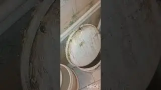 تعمیر وسرویس و آببندی پکیج ECoایران رادیاتور