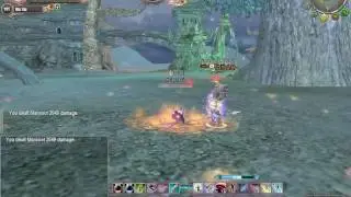 Wu-Xia: DFE Critical Finish