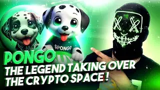 🎃 Pongo Coin I Легенда, покоряющая криптопространство!