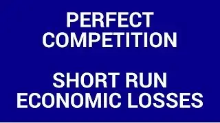 Perfect competition in short run equilibrium - Economic loss