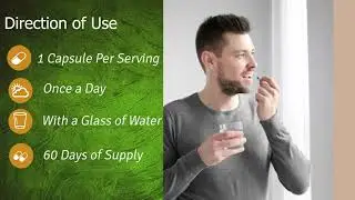 India's 100% Vegan & Vegetarian Family Health Wellness Brand - Fitspire