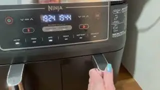 Roast, Broil, Dehydrate, Air Fry&hellip; This Thing Does It All 🤯 | Ninja DZ201 Review