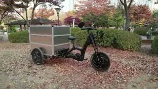 Autumn in Korea with ECCOV cargo bike