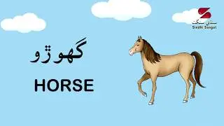 Domestic Animals in Sindhi