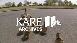 Ducks (1987) | From the Archives