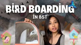 How to prepare your bird for boarding