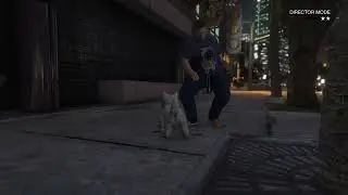 Puppy terror