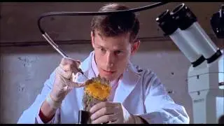 Dino DNA