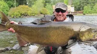 ISO KUNINGASLOHI SPINFLUGA:lla ( Campbell River Kalastus ) ja Kanadan Fiiliksiä (Lohta Spinflugalla)