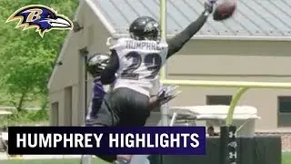 Highlights of Marlon Humphrey Breaking Up Passes at OTAs  ❌ | Baltimore Ravens