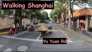 Shangha Walks:  ART Yu Yuan (上海中国 2019) in 4K