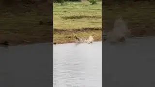 Now You See It&hellip;Now You Don't