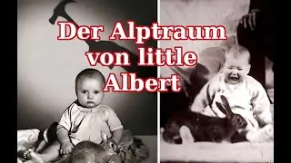Die 7 verst&ouml;rendsten psychologischen Experimente aller Zeiten - Part 1