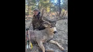 Traditional Bowhunting Mule Deer.