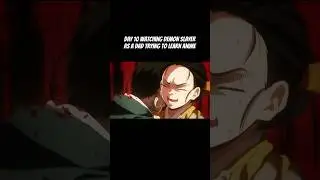 Day 10 of watching Demon Slayer as a Dad Learning Anime.