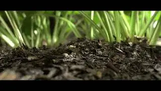 D  R  E  A  M  films|Nature MONTAGE 1min OF relaxing vues