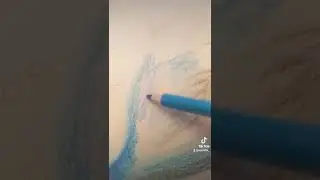 drawing a Swan using Color pencils!