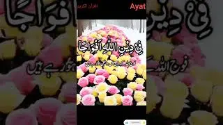 Qurani sourat Recitiotion Forever love #love #quranforever #quranrecitation #quran #youtubeshorts