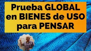 prueba GLOBAL en BIENES de USO. para  PENSAR.