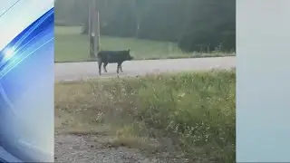 Door County Sheriff's Office: Deputy 