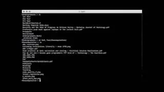 The Path (Terminal)