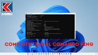 ✅ How to Use the PING Command (Simple Explanation and Examples) 😮
