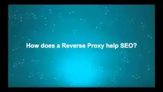 Ayima Help - What is a Reverse Proxy?