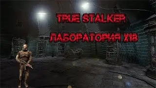 TRUE S.T.A.L.K.E.R.: Лаборатория Х18 #stalker #true