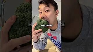 Joe Rogan Exposes Why Humans Aren&rsquo;t Herbivores
