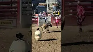Great Bull Ride Clovis CA Rodeo Finals 2023 #PBR