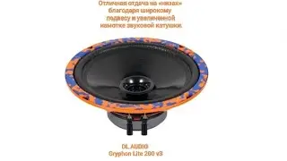 Обзор на эстрадную акустику от компании DL AUDIO GRYPHON Lite 200 v3.