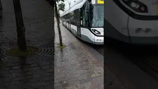 De Lijn Lagevloertram (7471) Tram 10 Wijnegem Tram Terminus 30/08/2023