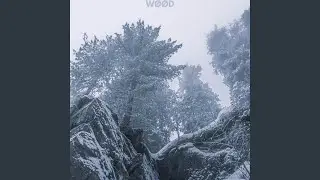 Where the Mind Rests
