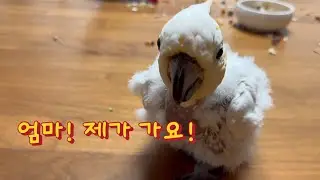 엄마한테 국자가 있다는걸 명심해! 🙋🏻‍♀️