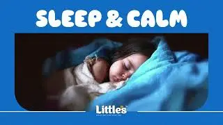 Little&rsquo;s Dream Lotus (Malayalam Lullaby)