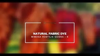 Mimosa Hostilis Guides 5 - Natural Fabric Dye - MHRB, Inner Root Bark, Shredded, Whole Bark