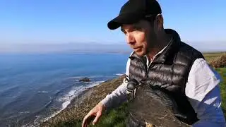 Falconry Experience