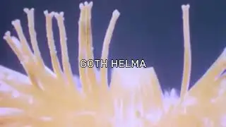 [FREE] SAD $UICIDEBOY$ TYPE BEAT 