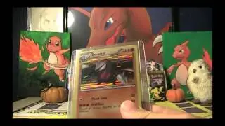 BCBM: JordanJapanPokemon