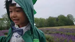 Lavender Farm 2021