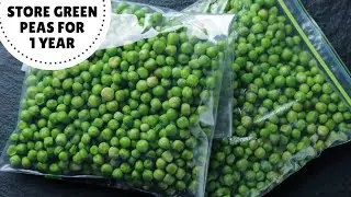 [Fool-Proof Method] STORE GREEN PEAS FOR 1 YEAR In Easy Steps | हरे मटर को स्टोर करें १ साल तक