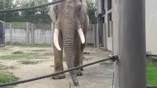 Visita al zoologico Ukumari.