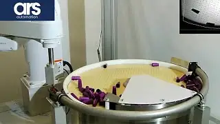 Flexibility, Precision & Speed with Epson Robot- Flexibowl&reg; & FlexiVision  Feeding System