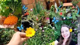TOUR pelo meu JARDIM 🌸 CANTINHO ESPECIAL 🌸 JARDIM DE FADAS🧚‍♀️ #youtube #2026 #flowers 