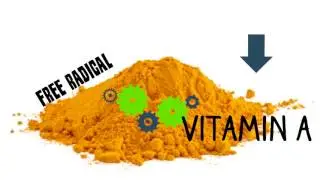 NuVet Plus Ingredient Series: Beta-Carotene | NuVet Labs, Pet Vitamin Supplements for Cats and Dogs