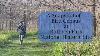 Migratory Bird Day 2021 - A Snapshot of... Bird Census