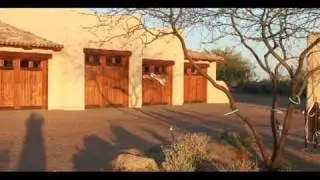 3D and Pattern EPP foamie Flying Sonoran Desert
